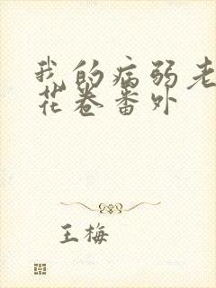 我的病弱老婆 花卷番外