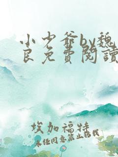 小少爷by魏丛良免费阅读全文