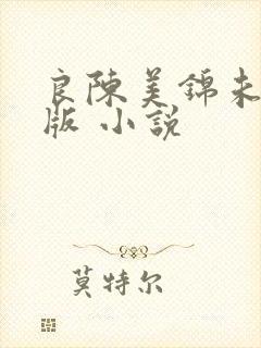 良陈美锦未删减版 小说