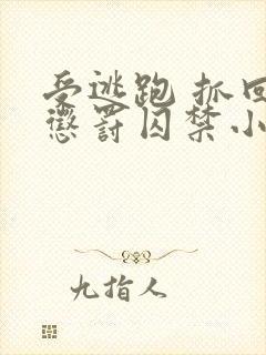 受逃跑 抓回 惩罚囚禁小说