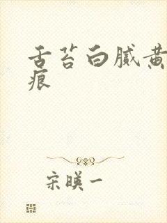 舌苔白腻黄有齿痕