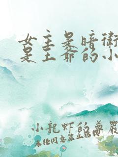 女主是暗卫男主是王爷的小说