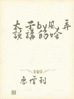 太子by风弄小说讲的啥