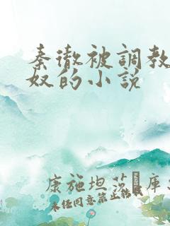 秦彻被调教成肉奴的小说