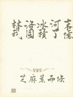 林洛冰河末世:我囤积了亿亿万物资