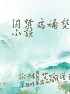 囚禁病娇双男主小说