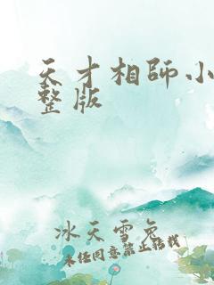 天才相师小说完整版