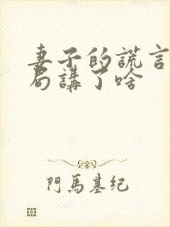 妻子的谎言大结局讲了啥