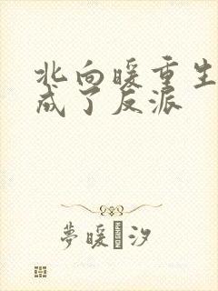 北向暖重生后我成了反派