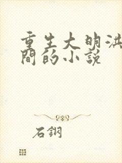 重生大明洪武年间的小说