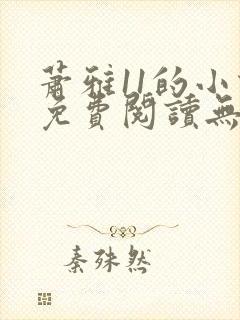 萧雅11的小说免费阅读无弹窗最新章节