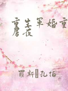 重生军婚重回洞房夜