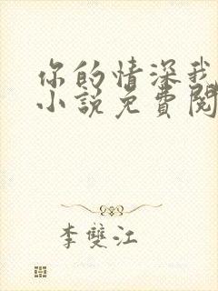 你的情深我不配小说免费阅读全文