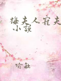 梅夫人宠夫日常 小说