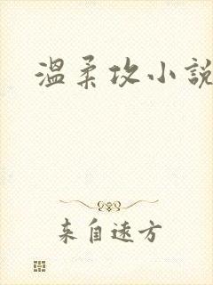 温柔攻小说推荐