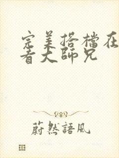 完美搭档在线观看大师兄