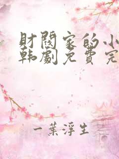 财阀家的小儿子韩剧免费完整版