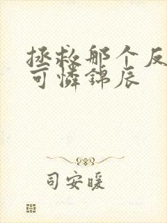 拯救那个反派小可怜锦辰