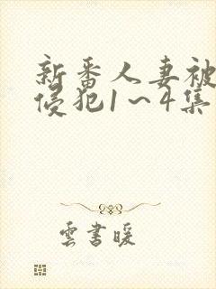 新番人妻被痴汉侵犯1～4集