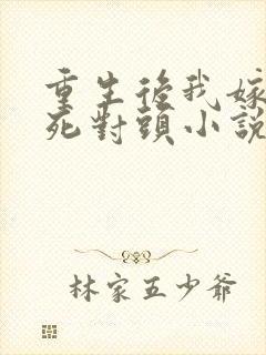 重生后我嫁给了死对头小说