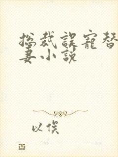 总裁误宠替身甜妻小说