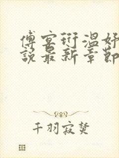 傅宴珩温妤婉小说最新章节更新列表