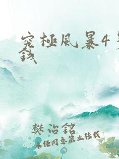 究极风暴4多少钱