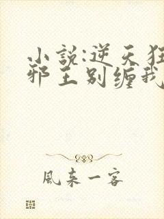 小说:逆天狂妃邪王别缠我