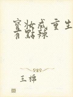 宝妆成重生八零有点辣