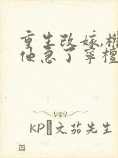 重生改嫁,权臣他急了宁檀宗俭结局