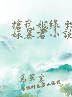 抢我姻缘 转身嫁暴君小说