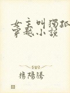 女主叫独孤月的穿越小说