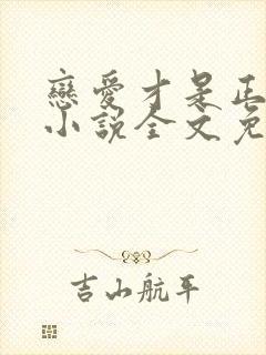 恋爱才是正经事小说全文免费阅读