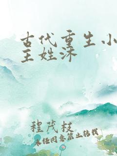 古代重生小说女主姓沐