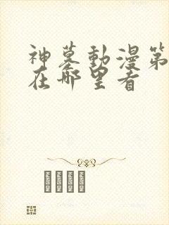 神墓动漫第二季在哪里看
