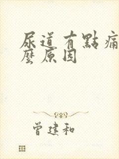 尿道有点痛是什么原因