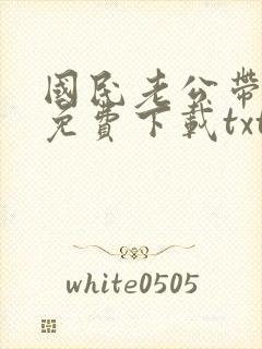 国民老公带回家免费下载txt