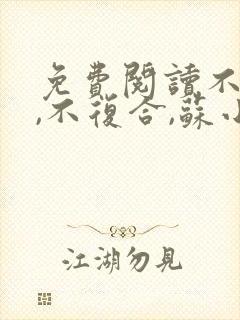 免费阅读不原谅,不复合,苏小姐独美