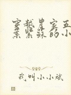 穿越农家五兄弟叶紫苏的小说免费阅读