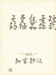 免费观看短剧我的极品总裁老婆