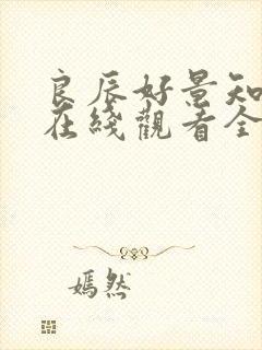 良辰好景知几何在线观看全集免费播放