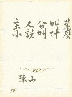 主人公叫叶凡的小说叫什么名字