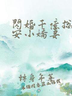 闪婚千亿总裁吻安小娇妻