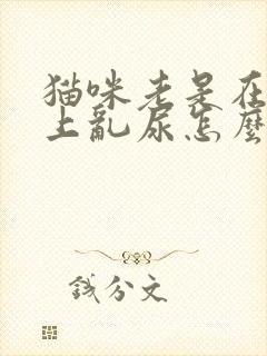 猫咪老是在被子上乱尿怎么办