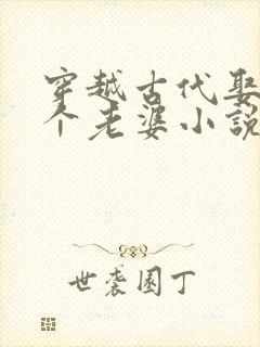 穿越古代娶了三个老婆小说