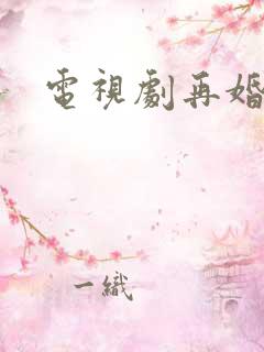 电视剧再婚家庭