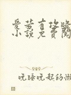 爱若有攻略原著小说免费阅读