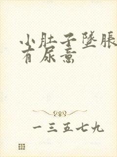 小肚子坠胀感觉有尿意