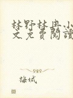 林野林冉小说全文免费阅读最新章节