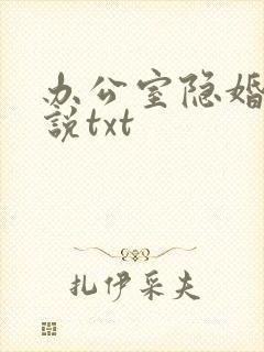 办公室隐婚 小说txt